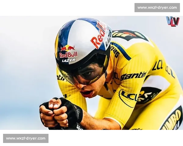 范阿尔特确认退出世锦赛 赛季末正式挂靴